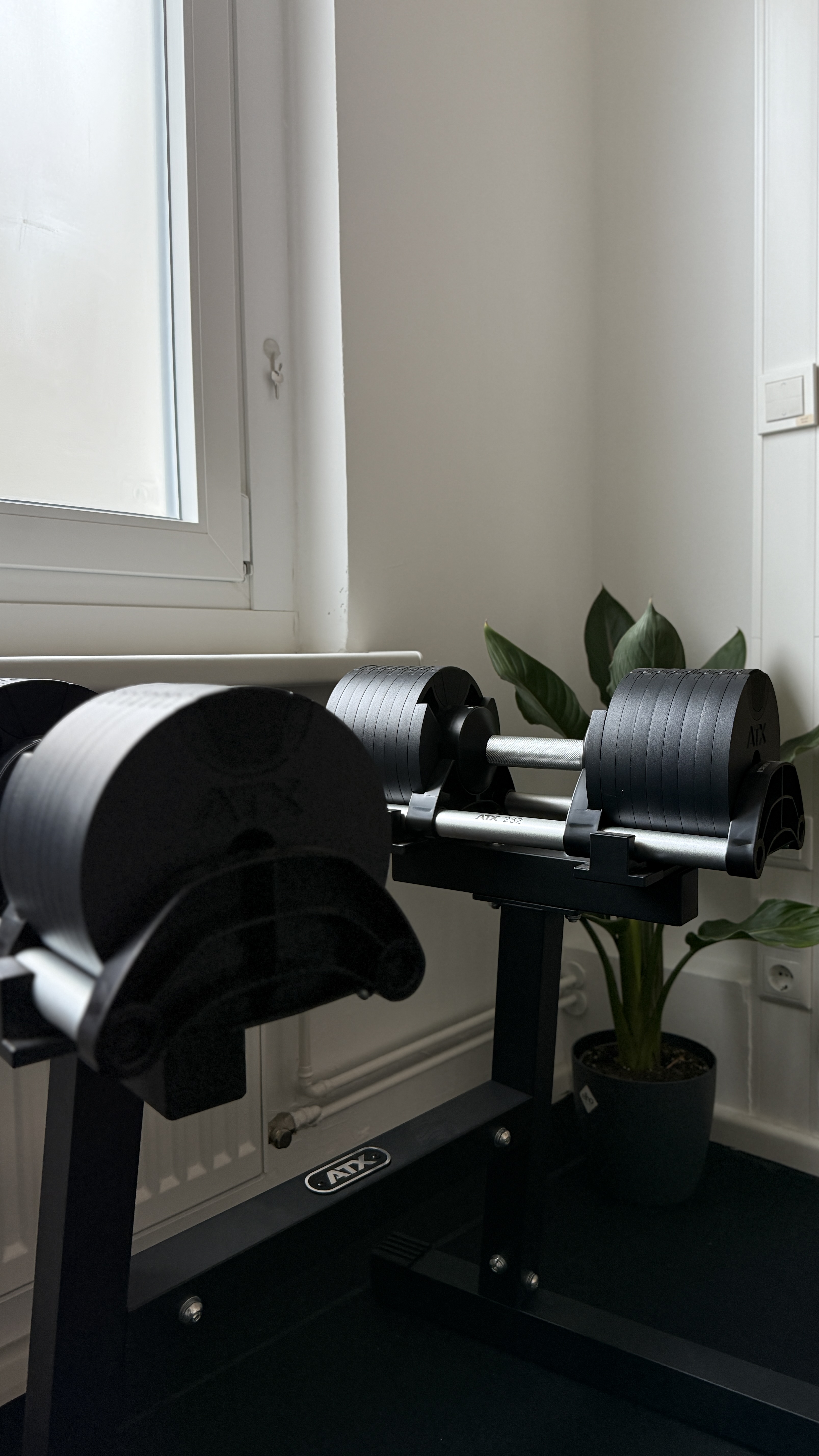 Strike Riser Personal Training - A New Standard in Holistic Health